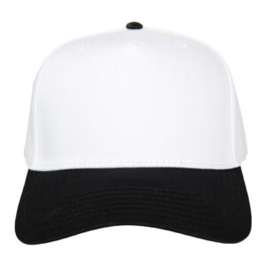 Black and White Blank Two-Toned Fitted Hat